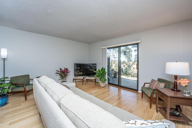 living area with a textured ceiling and light wood-type flooring