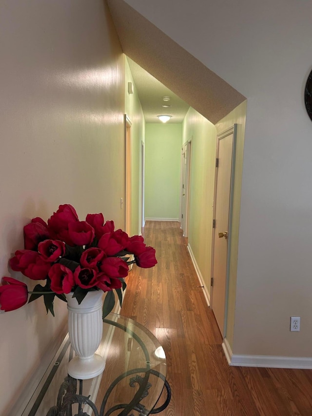236 Chamblee Rd, Walterboro, SC 29488 - hall with wood finished floors and baseboards