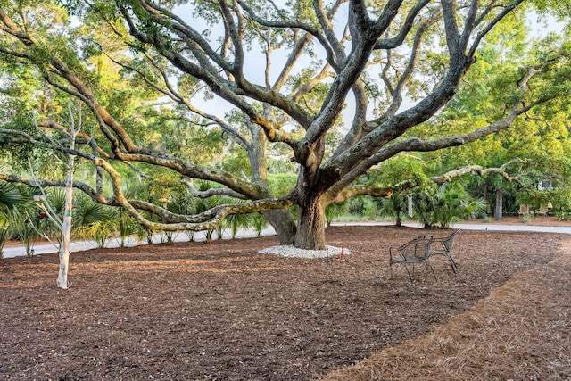 2213 Rolling Dune Rd, Seabrook Island, SC 29455 - view of yard