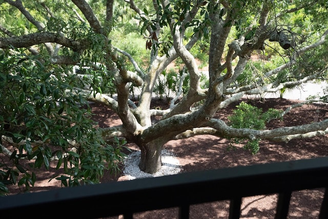 2213 Rolling Dune Rd, Seabrook Island, SC 29455 - view of undeveloped land