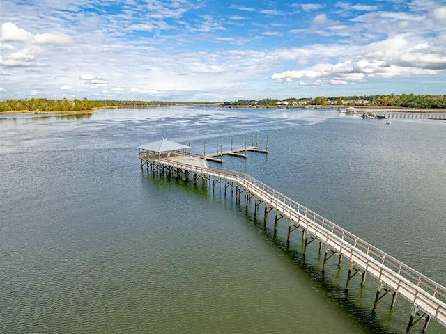 dock area with a water view