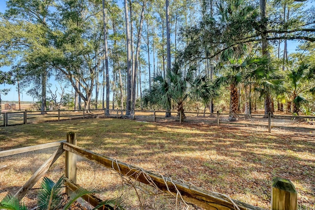 view of yard with a rural view