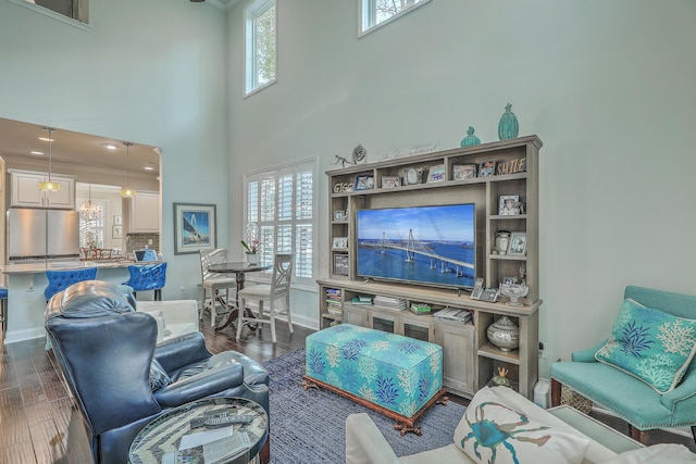 living area featuring baseboards, dark wood finished floors, and a high ceiling