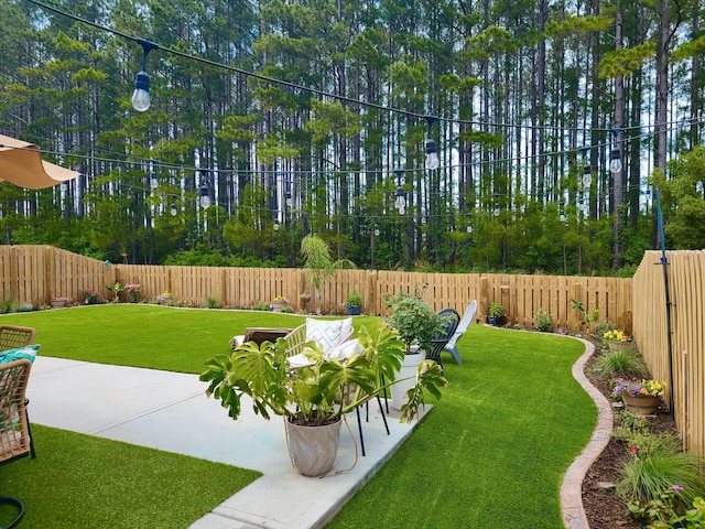 view of yard featuring a patio