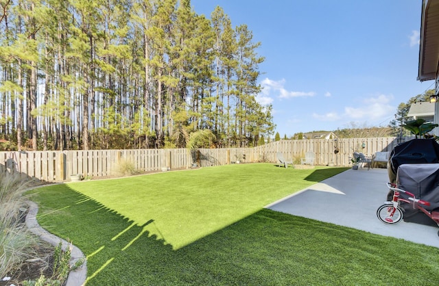 view of yard with a patio area