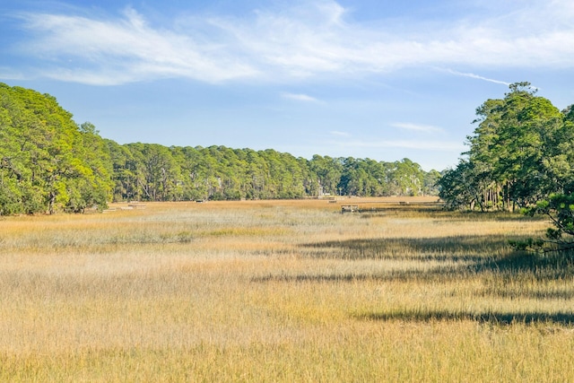 view of nature with a rural view