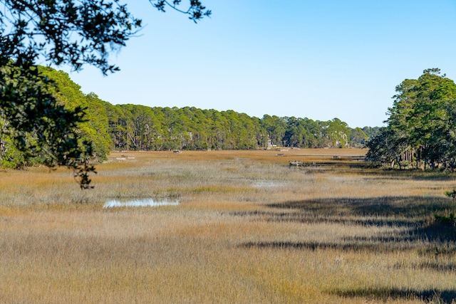 1505 Marsh Hvn, Johns Island, SC 29455 - view of tree filled area featuring a water view