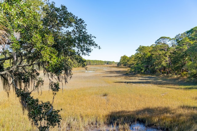 1505 Marsh Hvn, Johns Island, SC 29455 - view of nature