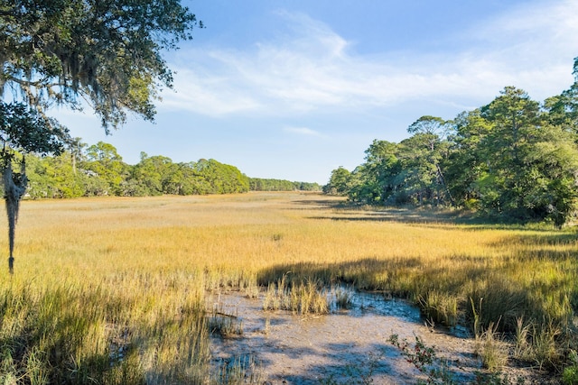 view of nature