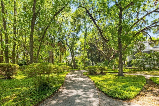 view of property's community