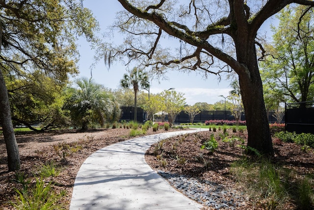 surrounding community with fence