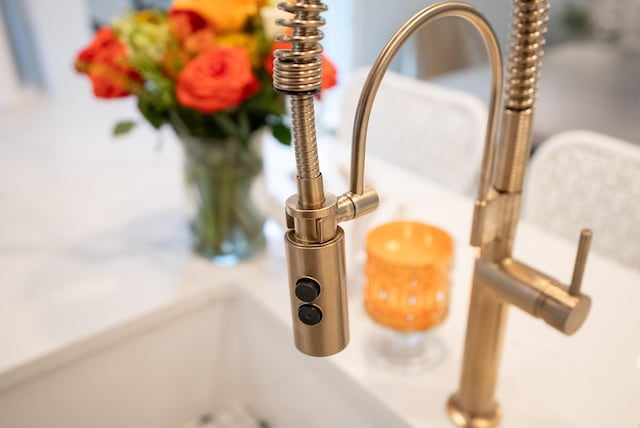interior details featuring a sink