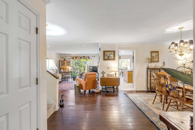 living room with a chandelier, crown molding, a wealth of natural light, and dark wood-type flooring