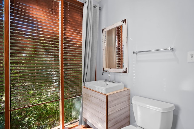 bathroom with vanity, toilet, and a healthy amount of sunlight