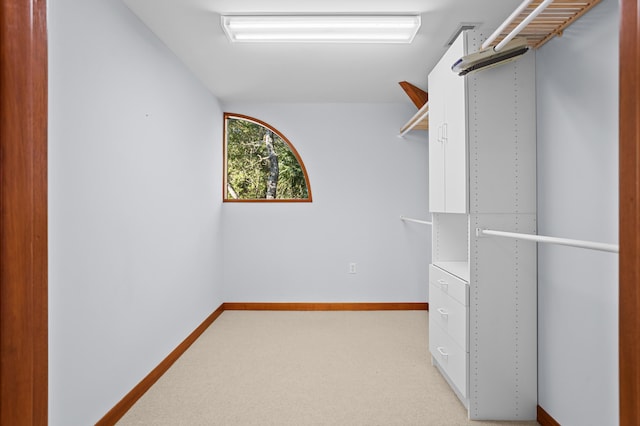 walk in closet featuring light carpet