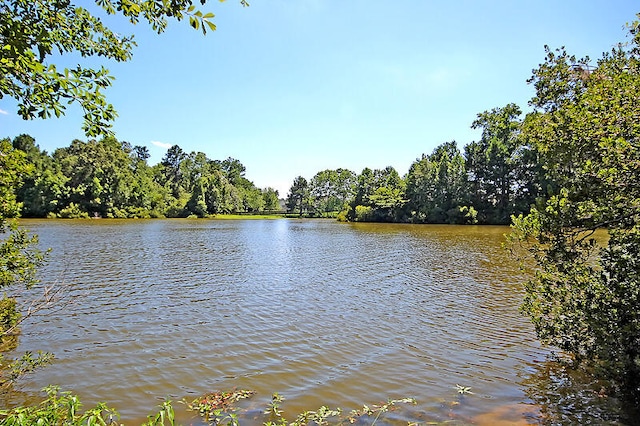 view of water feature