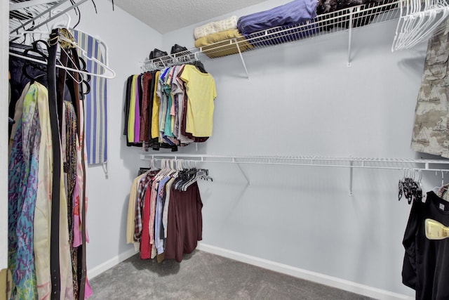 walk in closet featuring carpet flooring