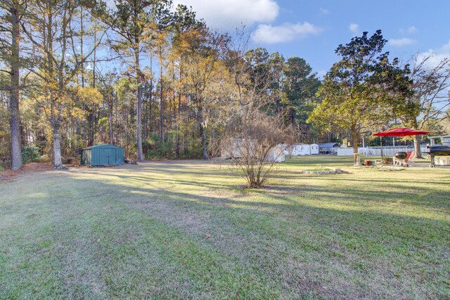 view of yard with a storage shed