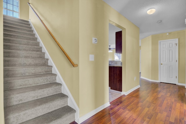 staircase with wood-type flooring