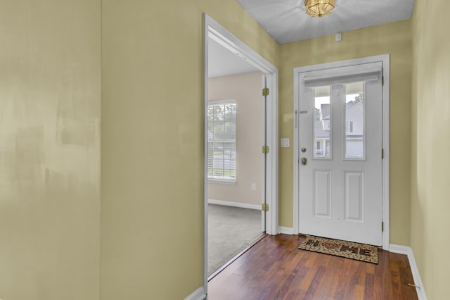 doorway to outside featuring dark hardwood / wood-style flooring