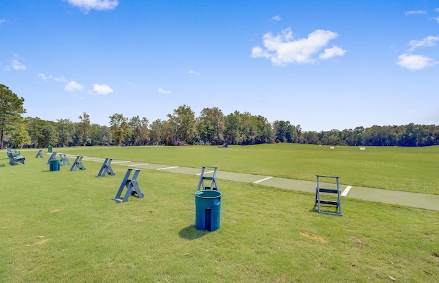 view of home's community with a lawn