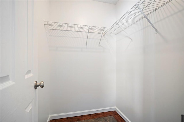 spacious closet with dark wood-type flooring