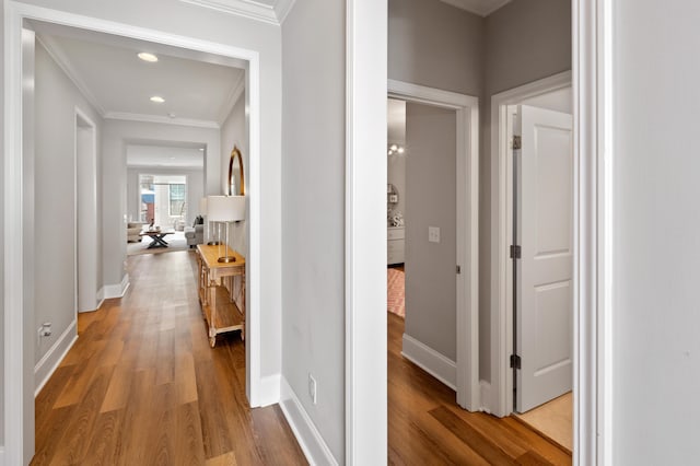 hallway with crown molding and light wood-type flooring