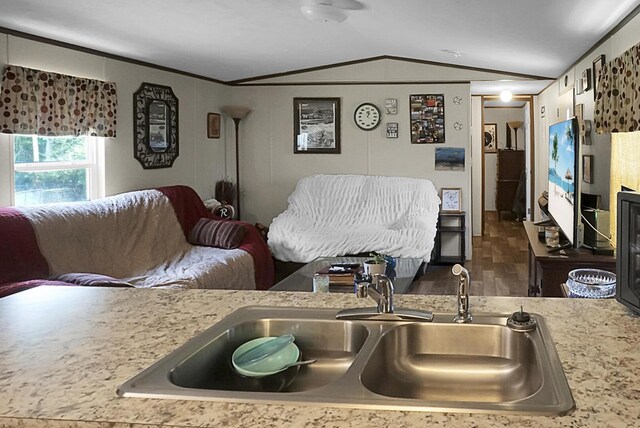 interior space featuring sink, lofted ceiling, and hardwood / wood-style floors