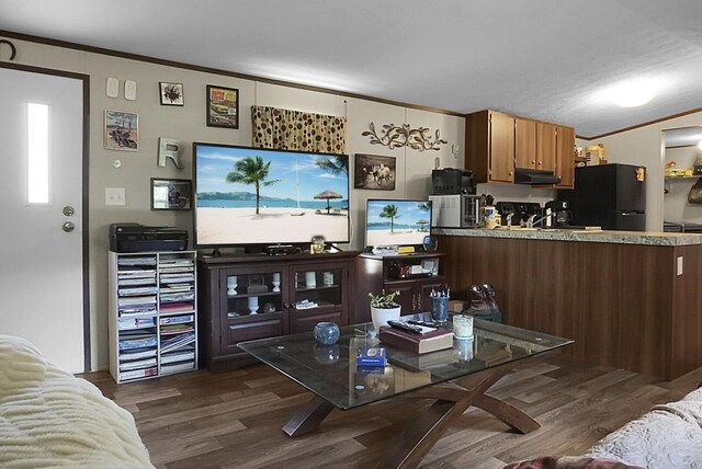 living room with sink, dark hardwood / wood-style flooring, and ornamental molding