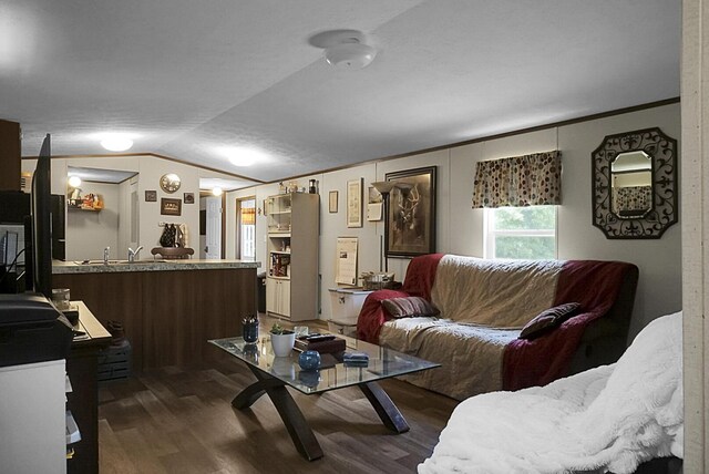 living room featuring sink, hardwood / wood-style flooring, and lofted ceiling