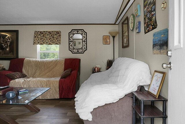 living room featuring crown molding and dark wood-type flooring