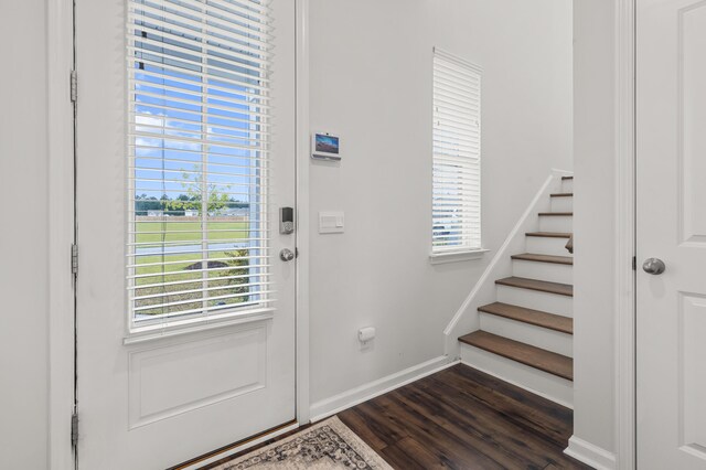 entrance foyer featuring plenty of natural light and dark hardwood / wood-style flooring