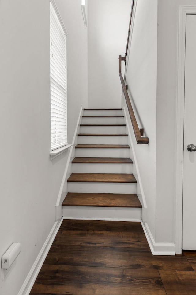 stairs featuring hardwood / wood-style floors