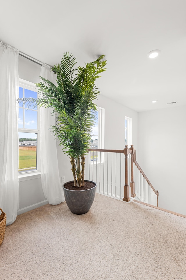 living area featuring carpet flooring