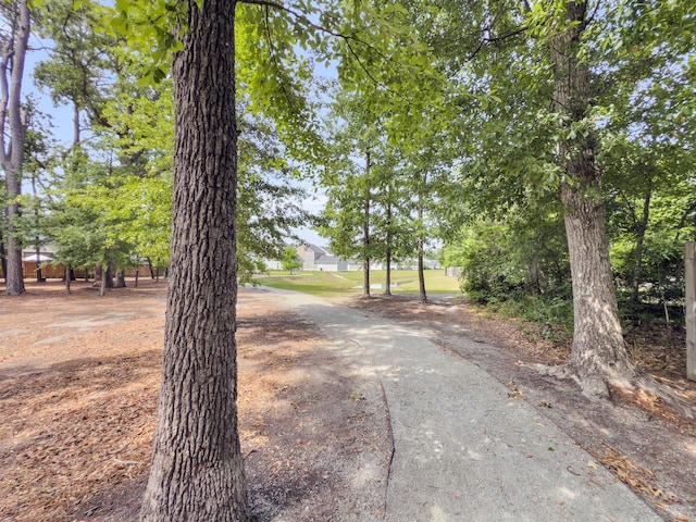 view of road