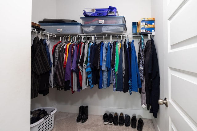 spacious closet featuring carpet floors