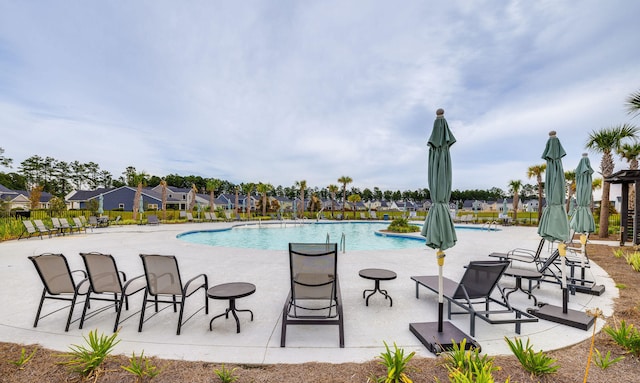 view of pool featuring a patio