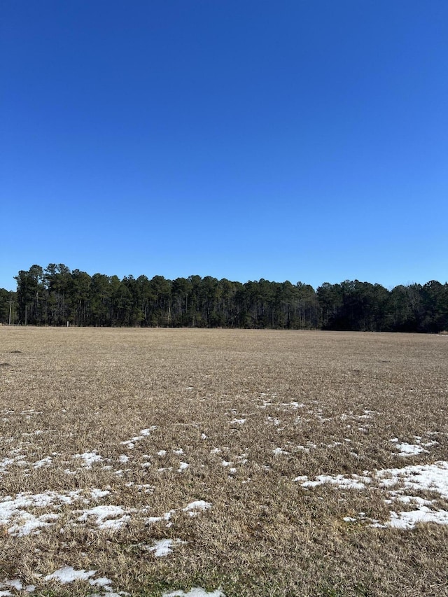 Listing photo 2 for 000 Hard Pinch Rd, Moncks Corner SC 29461