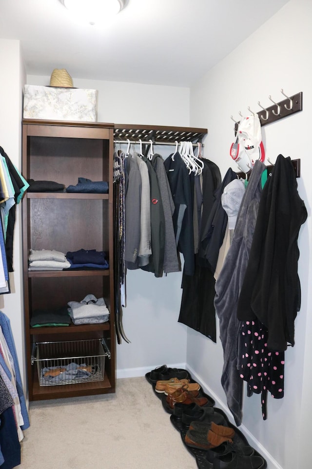 spacious closet featuring carpet floors