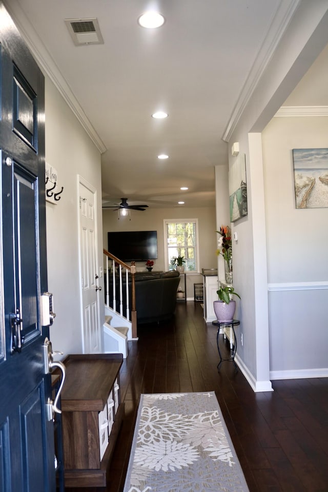 foyer entrance featuring ceiling fan, ornamental molding, and dark hardwood / wood-style floors