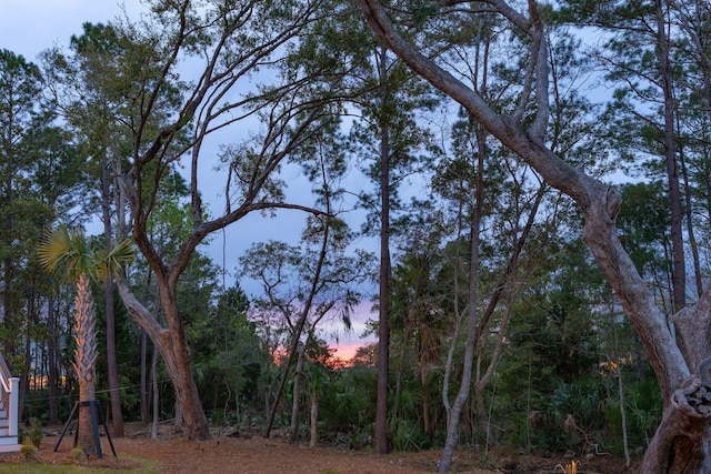 3894 Sawyers Island Dr, Mount Pleasant, SC 29466 - view of yard at dusk