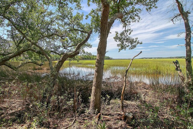 3894 Sawyers Island Dr, Mount Pleasant, SC 29466 - water view