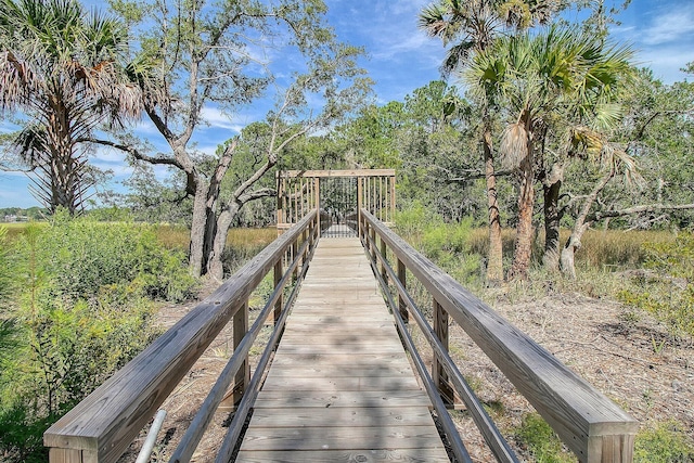 3894 Sawyers Island Dr, Mount Pleasant, SC 29466 - view of community