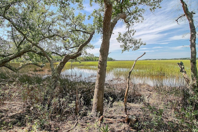 3894 Sawyers Island Dr, Mount Pleasant, SC 29466 - view of water feature