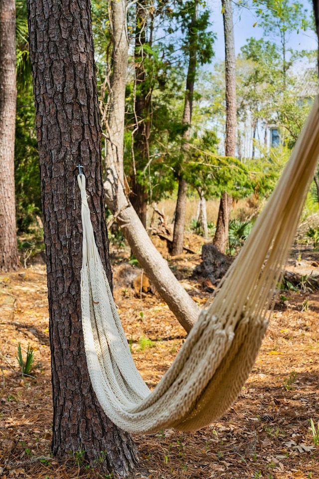 3894 Sawyers Island Dr, Mount Pleasant, SC 29466 - view of local wilderness