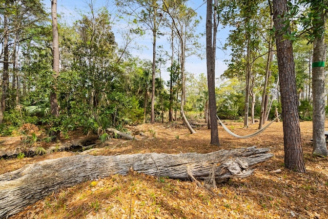 3894 Sawyers Island Dr, Mount Pleasant, SC 29466 - view of yard