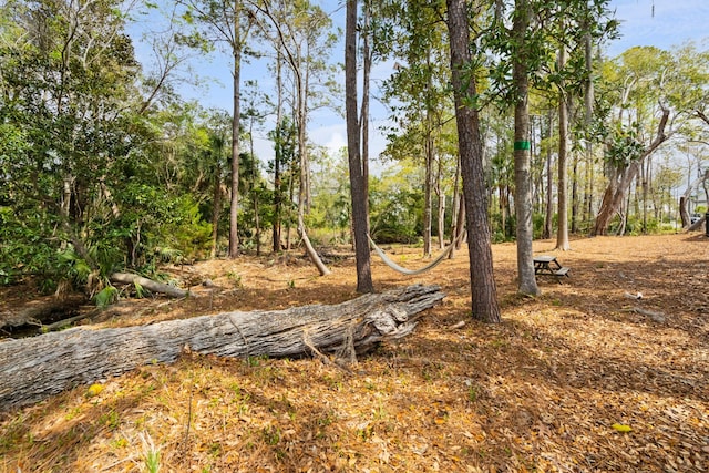 3894 Sawyers Island Dr, Mount Pleasant, SC 29466 - view of yard