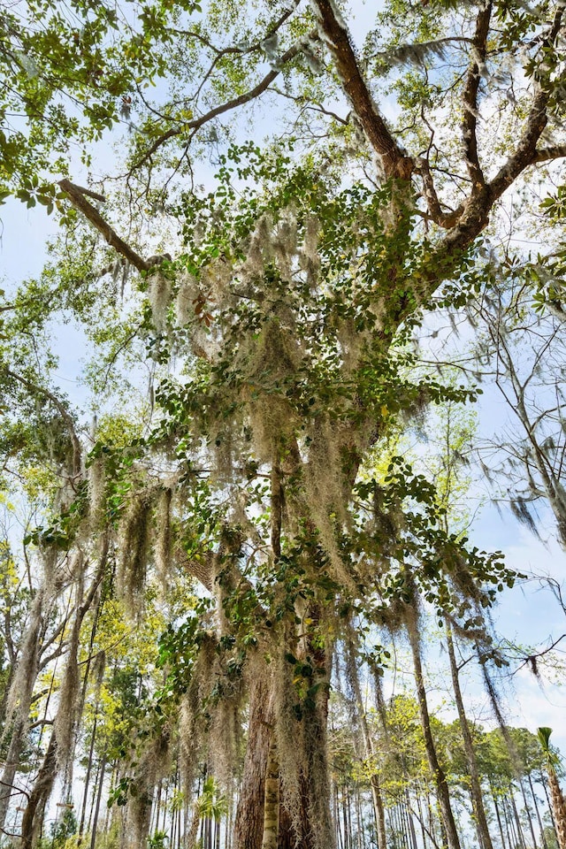 3894 Sawyers Island Dr, Mount Pleasant, SC 29466 - view of landscape
