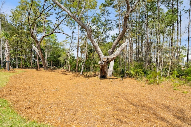 3894 Sawyers Island Dr, Mount Pleasant, SC 29466 - view of landscape