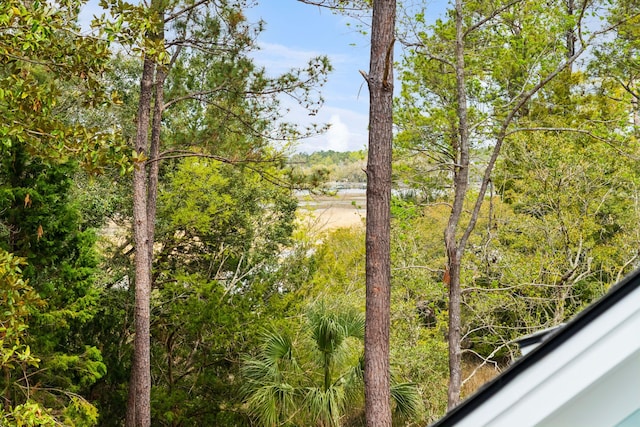 3894 Sawyers Island Dr, Mount Pleasant, SC 29466 - property view of water featuring a forest view